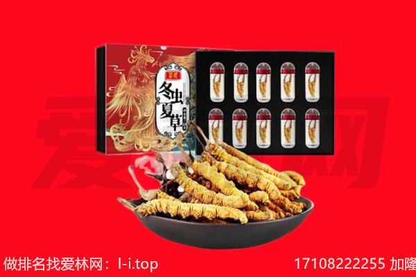 北京西城区回收虫草.jpg